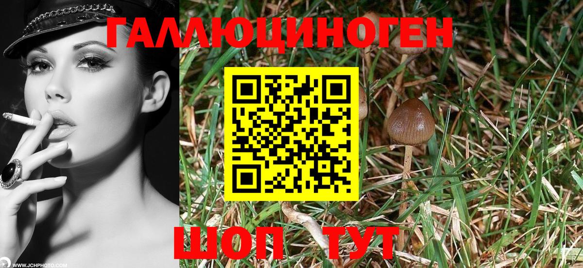 Галлюциногенные грибы Magic Shrooms  Вход с VPN  Павлово  Псилоцибиновые грибы мицелий 