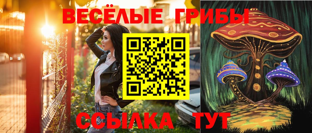 Галлюциногенные грибы прущие грибы Павлово